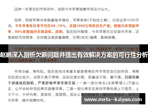 赵鹏深入剖析欠薪问题并提出有效解决方案的可行性分析