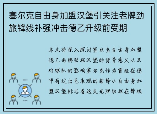 塞尔克自由身加盟汉堡引关注老牌劲旅锋线补强冲击德乙升级前受期